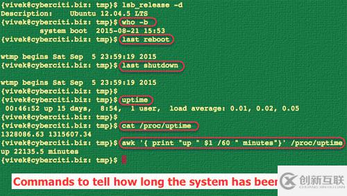 怎么用tuptime工具查看Linux服務(wù)器系統(tǒng)開機(jī)時(shí)間的歷史和統(tǒng)計(jì)