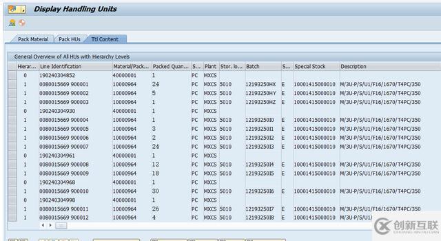 SAP沒有激活HUM功能可以使用Handling Unit嗎