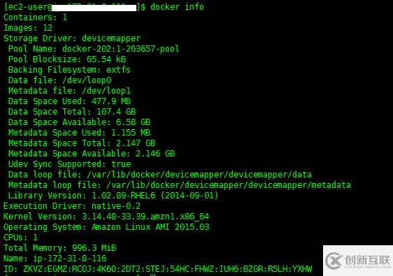 docker快速入門實(shí)例分析