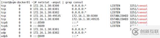 Consul+Registrator+Docker實(shí)現(xiàn)服務(wù)發(fā)現(xiàn)（nginx反向代理）