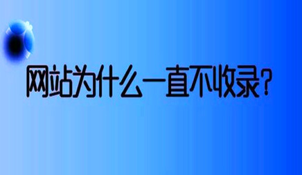 SEO優(yōu)化中網(wǎng)站不被收錄的緣故有哪些?