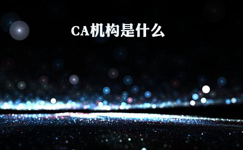 CA機(jī)構(gòu)介紹