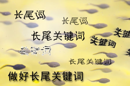 做網(wǎng)站怎樣做好長尾關(guān)鍵詞設(shè)置？