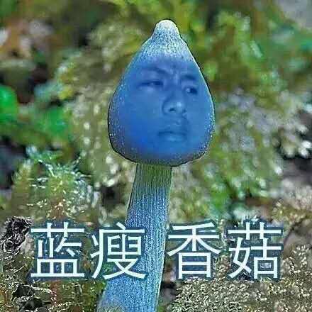 藍瘦香菇